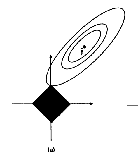 lasso